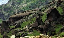 پارک جنگلی مخمل‌کوه؛گنجینه‌ای سبز در دل زاگرس