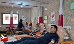 پلدختری‌ها در آتش همدلی خون خود را نثار بندرعباس کردند