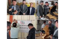 پلمب نانوایی‌های متخلف کوهدشت