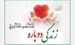 اهدای عضو بانوی لرستانی به ۸ نفر جان دوباره بخشید