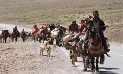 کوچ ۱۱ هزار خانوار عشایری لرستان آغاز شد
