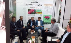 معرفی فرصت‌های سرمایه‌گذاری لرستان در اکسپو ۲۰۲۵