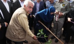 حفاظت از جنگل‌های بلوط بویژه در لرستان در دستور کار است