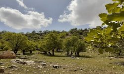 سیزده بدر؛نماد پیوند انسان با طبیعت