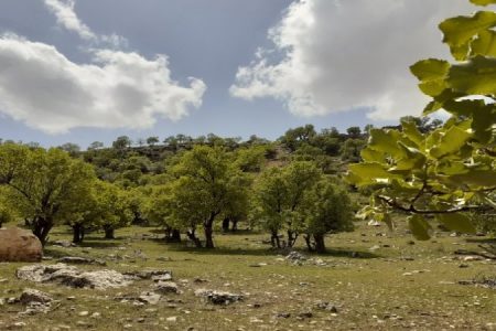 سیزده بدر؛نماد پیوند انسان با طبیعت