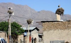 اختصاص اعتبار ملی برای روستای گردشگری «لک‌لک‌ها»