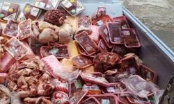 کشف گوشت فاسد از یک فروشگاه زنجیره‌ای در خرم‌آباد