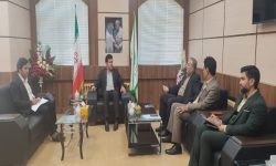 لزوم توجه به صنایع عمده و نوپا در رفع ناترازی انرژی