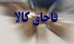 کشف بیش از ۲۳ میلیارد ریال کالای قاچاق در لرستان