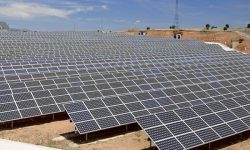 ۷ مگاوات برق ادارات باید از طریق نیروگاه‌های خورشیدی تأمین شود