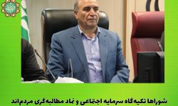 شوراها تکیه‌گاه سرمایه اجتماعی و نماد مطالبه‌گری مردم‌ هستند