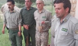 دستگیری شکارچیان بز کوهی در خرم آباد