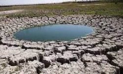 به صدا درآمدن زنگ خشکسالی در لرستان