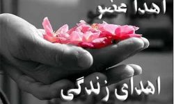 اهدای اعضای جوان مرگ مغزی بروجردی