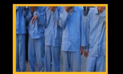 دستگیری سارقان تجهیزات مخابراتی در بروجرد