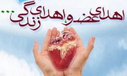 اهدای اعضا مرد ۴۹ ساله بروجردی نجات‌بخش جان سه بیمار شد