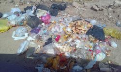 تصاویر| دپو شدن زباله‌های خانگی روستای ده محسن