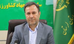 تولید سالانه بیش از چهار هزار تن عسل در لرستان