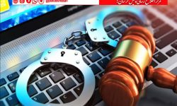 کشف ۲۲ فقره جرائم سایبری در دورود