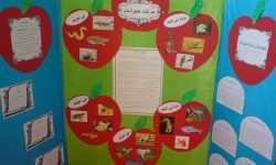 شرکت دانش آموزان دورودی در طرح جابر