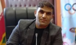 انتقاد رئیس هیئت مدیره خانه مطبوعات لرستان از قانون مشمولیت حق بیمه خبرنگاران