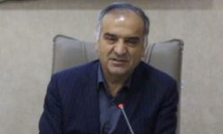 تقویت اقتصاد رسانه و ارتقای توانمندی خبرنگاران لرستان در اولویت است