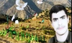 ۳۹ سال سر افکنده ۶۵ لاله سربلند !