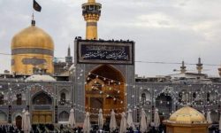 امام رضا (ع) مظهر وحدت