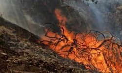 جنگل‌های پلدختر همچنان در آتش می‌سوزند