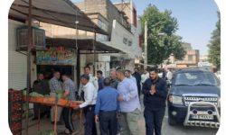 آغاز طرح مقابله با سد معبر اصناف در پیاده رو ها