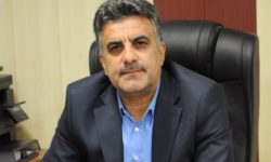 وجود ۹۷ ذخیره‌گاه جنگلی در لرستان