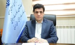 تمدید مهلت پرداخت تسهیلات مشاغل خانگی لرستان