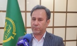 پیشتازی لرستان در حوزه بازرسی در بخش تنظیم بازار کشور
