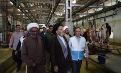 توزیع گوشت قربانی بین نیازمندان لرستانی