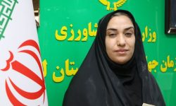سرپرست روابط عمومی جهاد کشاورزی لرستان منصوب شد