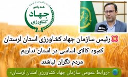 ذخیره ۷۰ هزار تن اقلام اساسی در لرستان/ پرهیز از خریدهای هیجانی