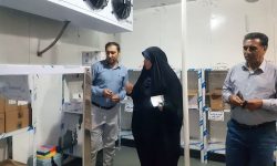 مشکلی برای تأمین واکسن و سرم در لرستان نداریم