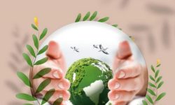 عکس روز|هفته محیط زیست گرامی باد