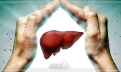چرا سلامتی کبد بسیار مهم است؟