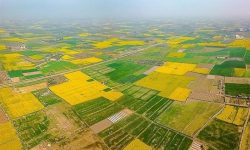 واگذاری بیش از ۴۵ هکتار از اراضی ملی لرستان برای طرح‌های اشتغال‌زا