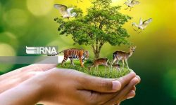 انجمن یاران سبز خواستار حفاظت از حیوانات آسیب‌دیده شد