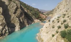 پروژه «معشوره» تعطیل شد