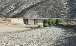 سونامی برنج کاری روی سرشاخه های «دِز»/ بهره کشی های آبی، جان «کَشکان» را گرفت