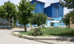 احیا کارخانه «خمیرمایه دورود» در گِرو ۱۵۰میلیارد اعتبار