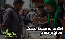 ضرورت رعایت الزامات زیست محیطی در عزاداری ها