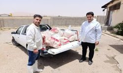 امحا بیش از ۴۰۰ کیلوگرم گوشت مرغ فاسد در الیگودرز
