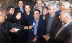 احیای کارخانه های راکد در دستور کار دولت