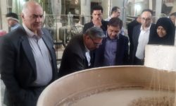 بازدید رئیس سازمان حمایت از صنایع کشور از واحدهای تولیدی بروجرد+تصاویر