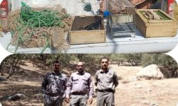دستگیری صیادان غیر مجاز پرندگان زینتی در خرم آباد
