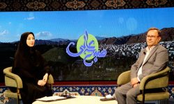 جریمه ۱۴۵ میلیاردی اصناف متخلف در لرستان